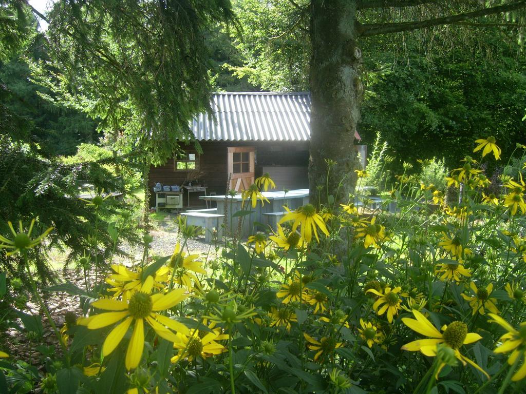 Vila Heidehof Hellenthal Exteriér fotografie