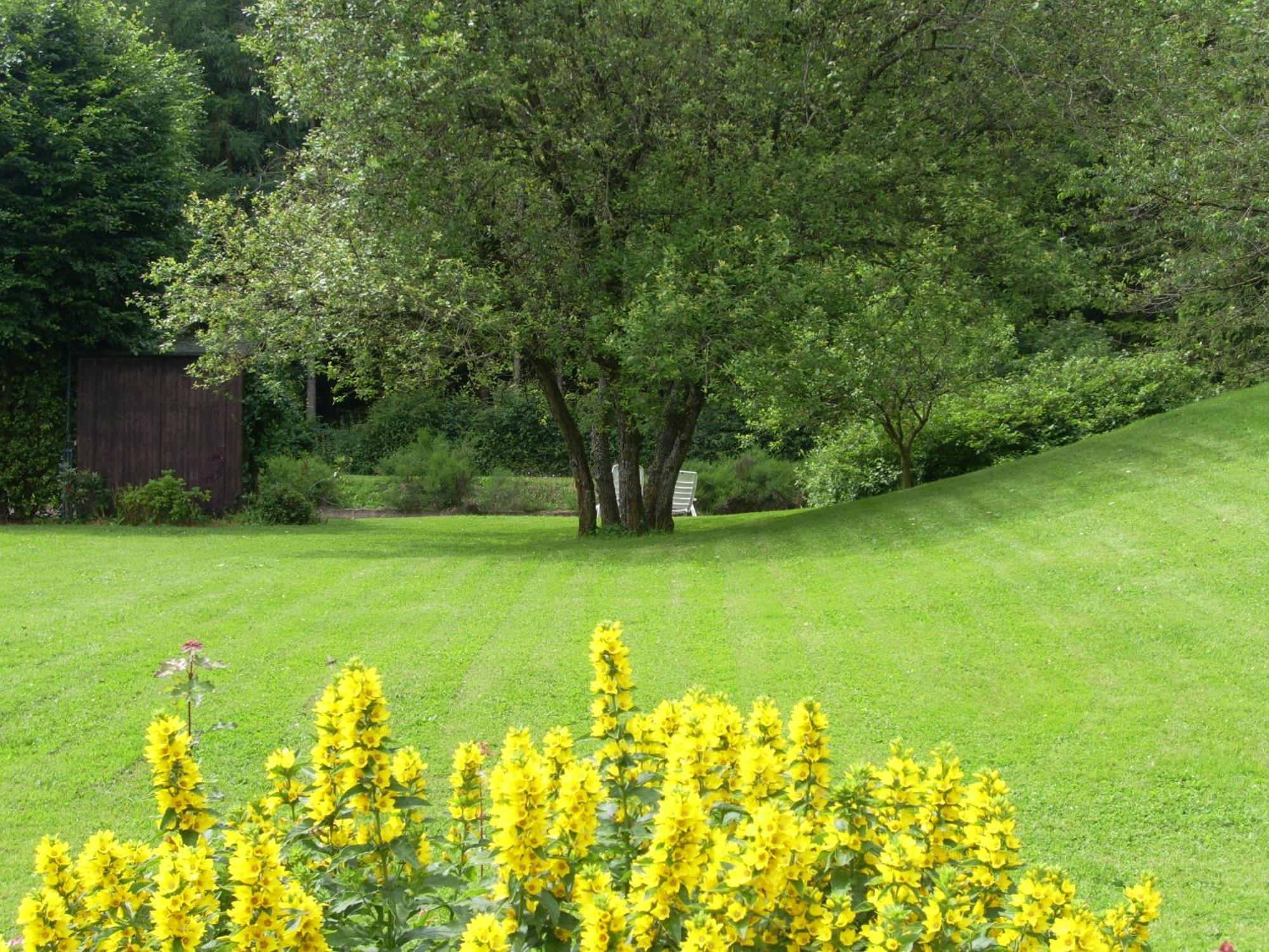 Vila Heidehof Hellenthal Exteriér fotografie